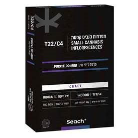 פרפל דידי מיני T22/C4 אינדיקה שיח