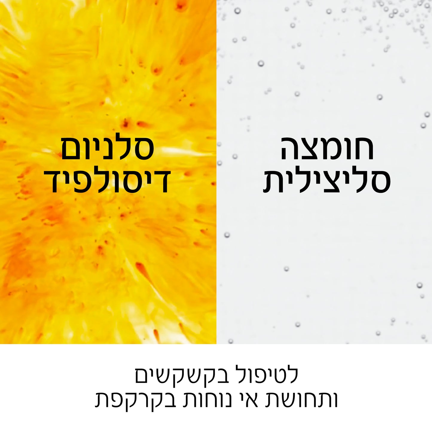 וישי שמפו נגד קשקשים לשיער יבש DERCOS