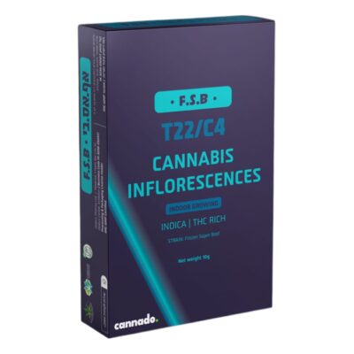 אף.אס.בי T22/C4 אינדיקה טוגדר