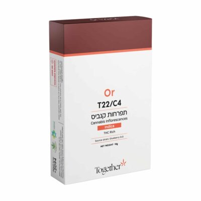 אור T22/C4 אינדיקה טוגדר