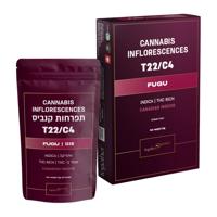 פוגו T22/C4אינדיקה טוגדר