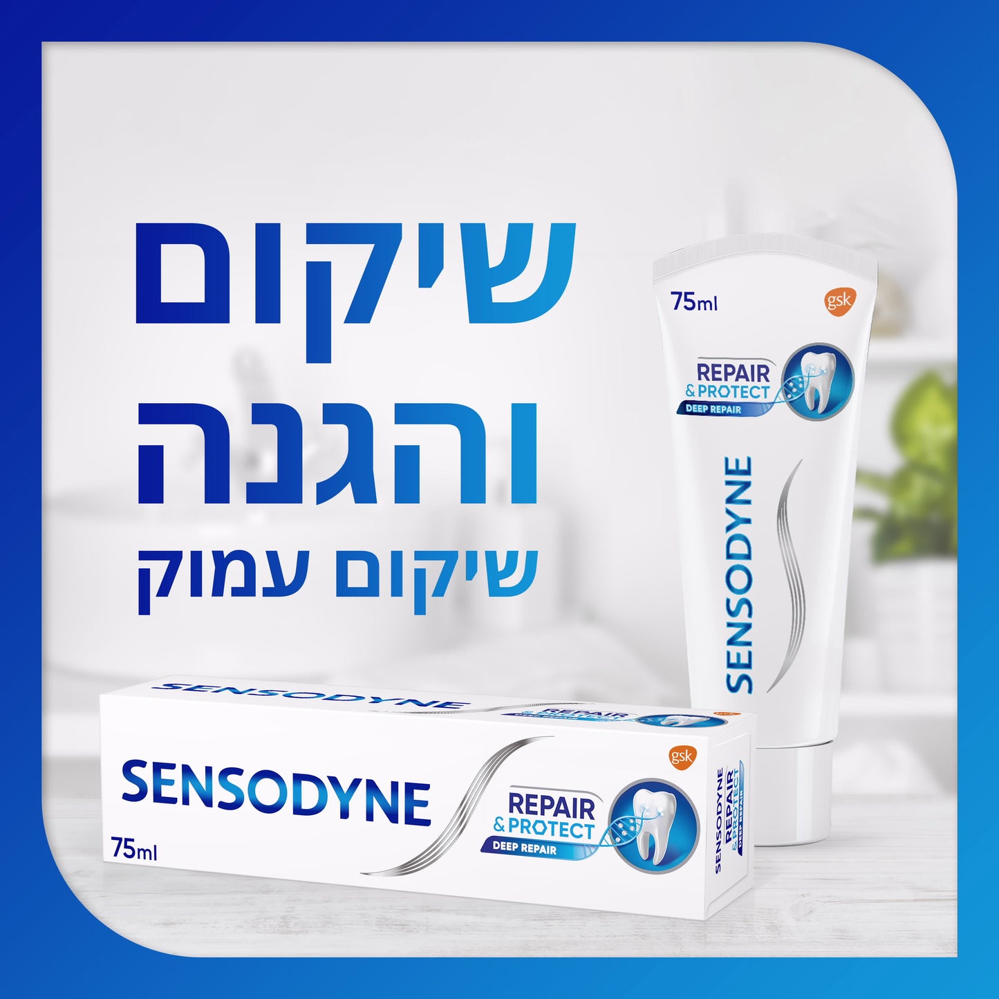 SENSODYNE משחת שיניים סנסודיין מלבינה לשיקום והגנה 75 מ"ל