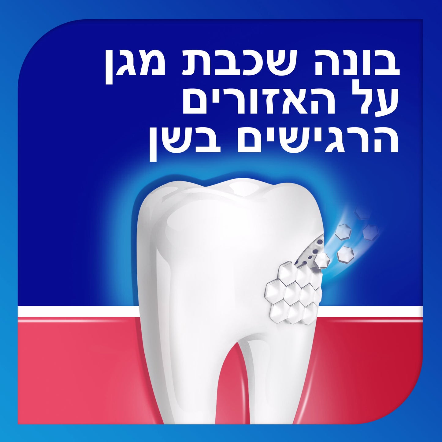 SENSODYNE משחת שיניים סנסודיין לרגישות וחניכיים