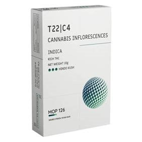 הינדו קוש T22/C4 אינדיקה פלאנטק