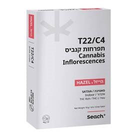 הייזל T22/C4 סאטיבה שיח