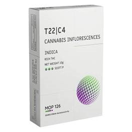 סקוט פי T22/C4 אינדיקה פלאנטק