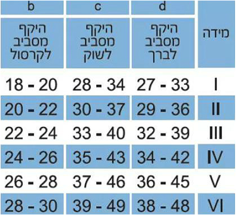 גרביים רפואיים לטיסה
