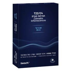 אמ.וי-קיי T22/C4 היבריד שיח