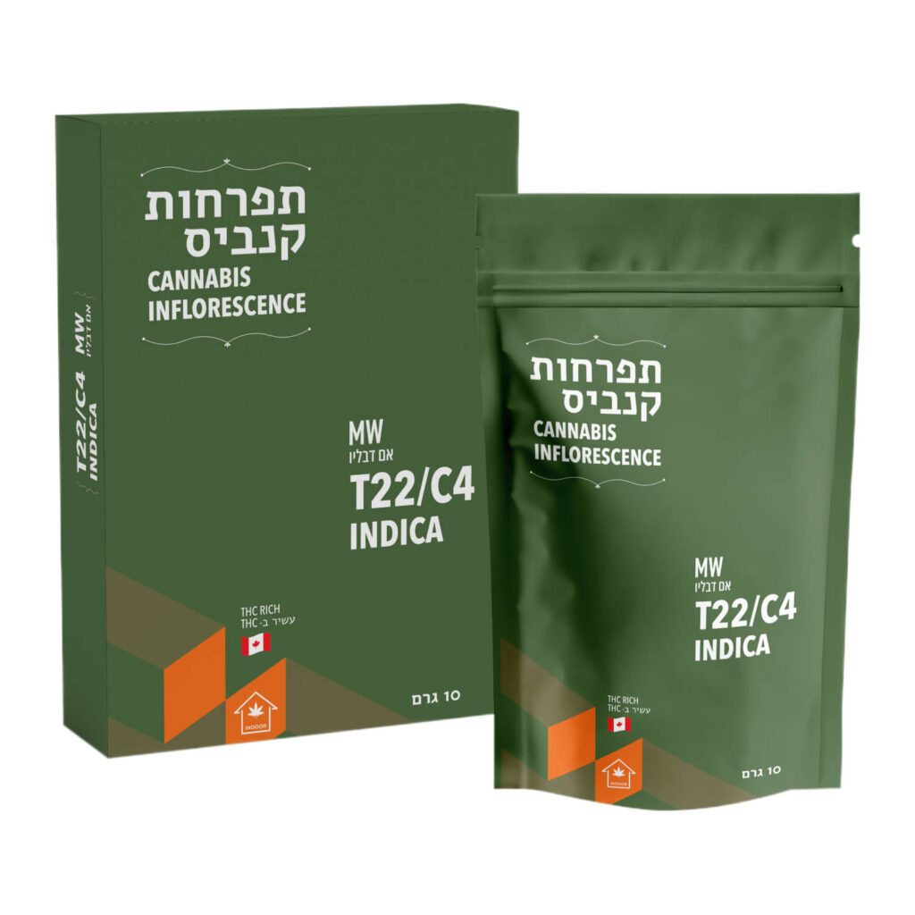 אם דבליו T22/C4 אינדיקה קנטק