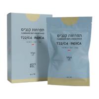 מגו T22/C4 אינדיקה IMC