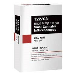 זיקו מיני T22/C4 סאטיבה שיח