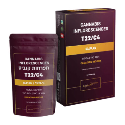 ג'י.פי.ג'י T22/C4 אינדיקה טוגדר