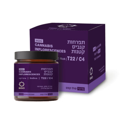 סולו קונס מיני T22/C4 אינדיקה סבן