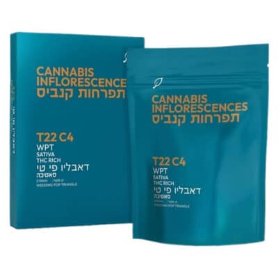 דאבליו.פי.טי T22/C4 סאטיבה בזלת