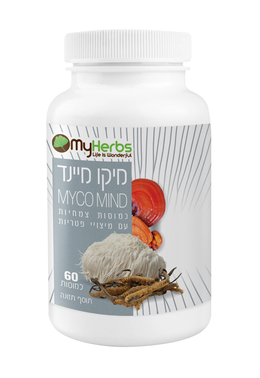 מיקו מיינד-פטריות