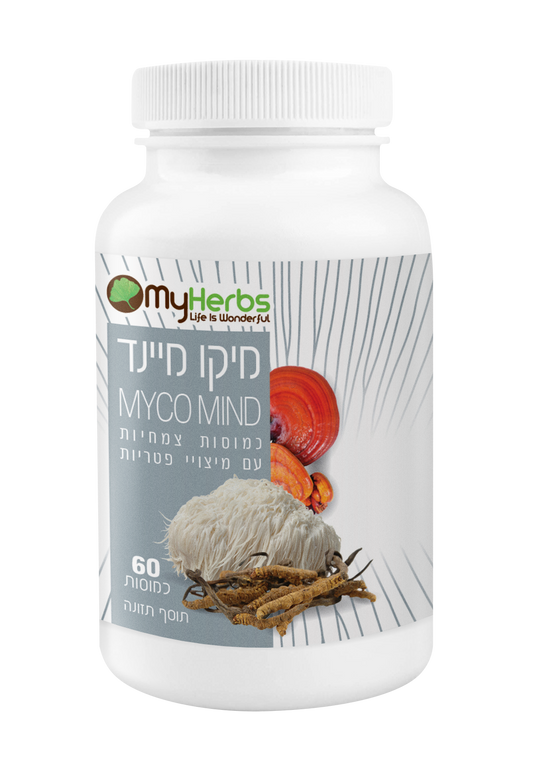 מיקו מיינד-פטריות