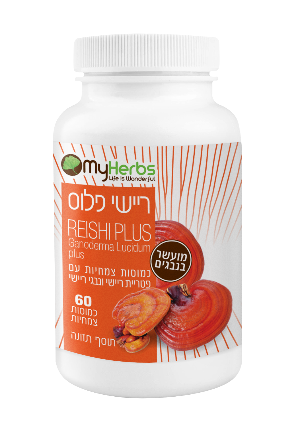 ריישי פלוס-פטריות