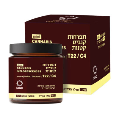 סולו פבריק מיני T22/C4 אינדיקה סבן