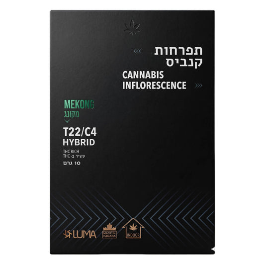 מיקונג T22/C4הייבריד קנטק