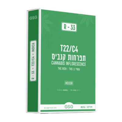 אר-33 T22/C4 אינדיקה גרינמד