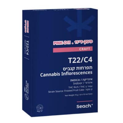 פינק די 11 T22/C4 אינדיקה שיח