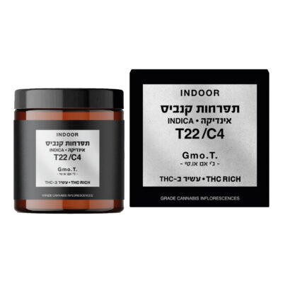 ג'י אם או.טי T22/C4 אינדיקה קנאבר