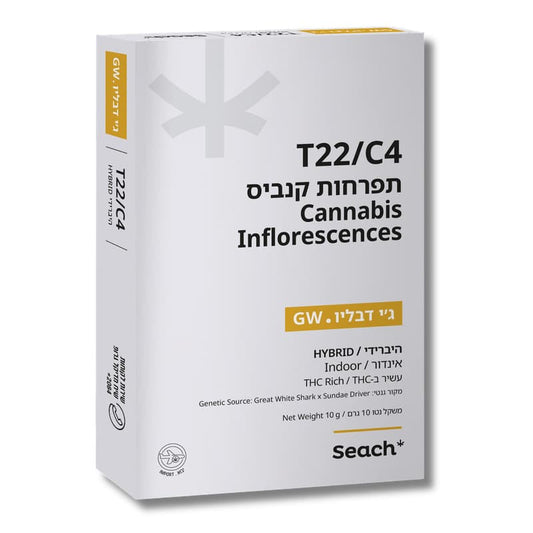 ג'י דאבליו T22/C4 הייבריד שיח