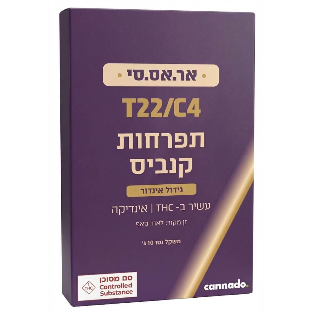 אר.אס.סי T22/C4 אינדיקה טוגדר