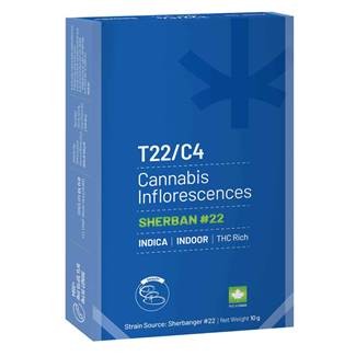 שרבאן T22/C4 אינדיקה שיח