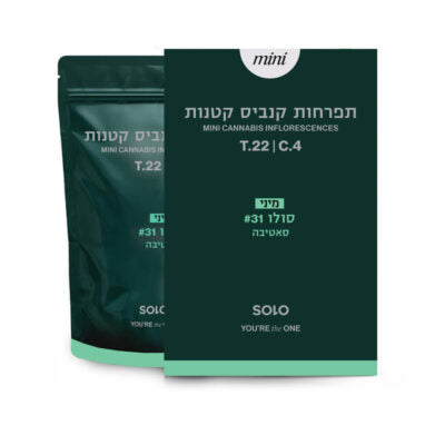 סולו 31 מיני T22/C4 סאטיבה סבן
