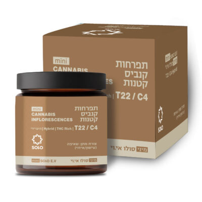 סולו אי.וי מיני T22/C4 הייבריד סבן