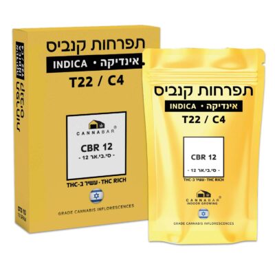 סי.בי.אר 12 T22/C4 אינדיקה קנאבר