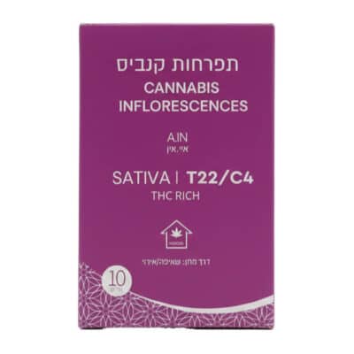 איי.אין T22/C4 סאטיבה קאנטק