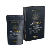 איי ג'יי T22/C4 הייבריד פלאנטק