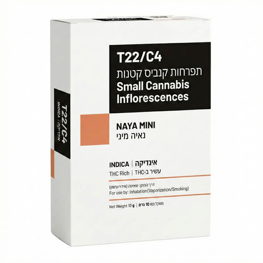 נאיה מיני T22/C4 אינדיקה שיח