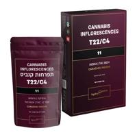 אחת עשרה 11 T22/C4 אינדיקה טוגדר