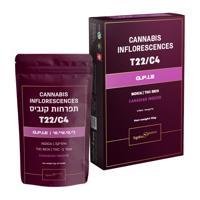 ג'י.פי.איי.אי T22/C4 אינדיקה טוגדר