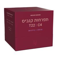 כריס אם T22/C4 אינדיקה קרונוס