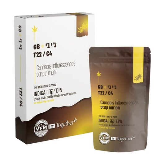 ג'י בי T22/C4 אינדיקה טוגדר