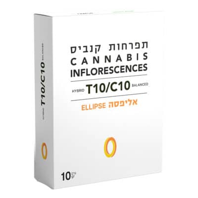 אליפסה T10/C10 הייבריד גרינפילדס
