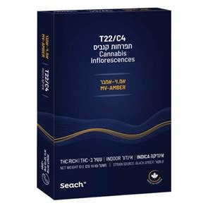 אמ.וי אמבר T22/C4 אינדיקה שיח