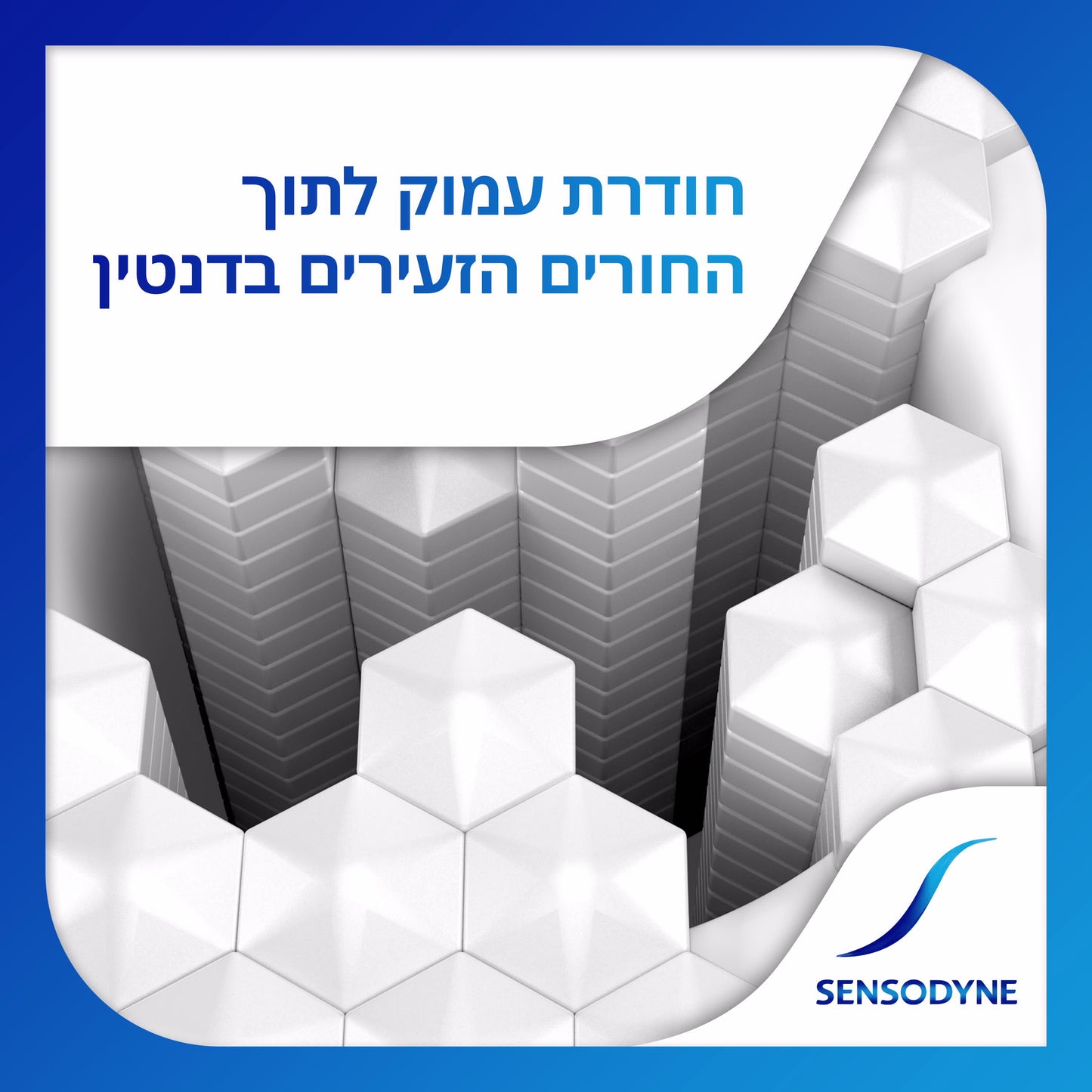 SENSODYNE משחת שיניים סנסודיין מלבינה לשיקום והגנה 75 מ"ל