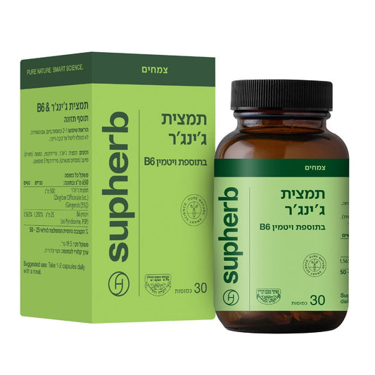 סופהרב תמצית ג'ינג'ר + B6 SupHerb - 30 כמוסות