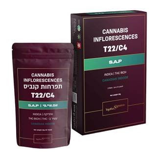 אס.איי.פי T22/C4 אינדיקה טוגדר