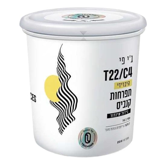 ג'י פי T22/C4 הייבריד טריכום