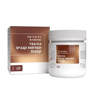 : בי.1 או ג'י מיני T22/C4 אינדיקה קרונוס