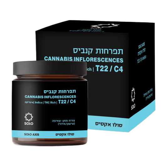 סולו אקסיס T22/C4 אינדיקה מדוקאן