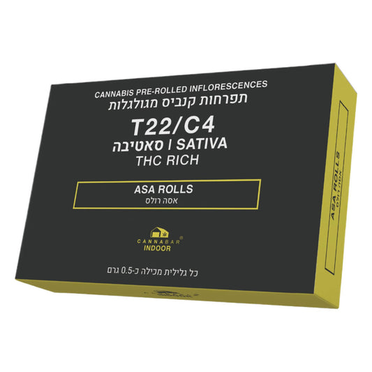 גליליות אסה T22/C4 סאטיבה קנאבר