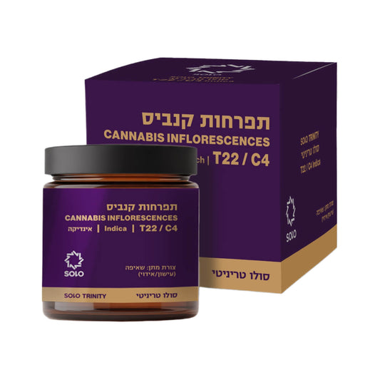 סולו טריניטי T22/C4אינדיקה מדוקאן