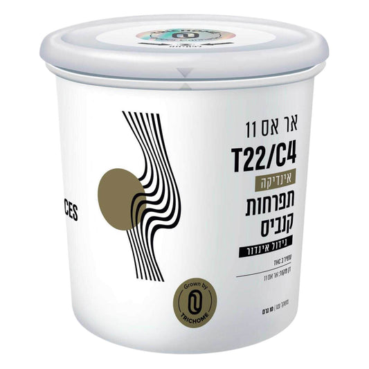 אר אס 11 T22/C4 אינדיקה טריכום